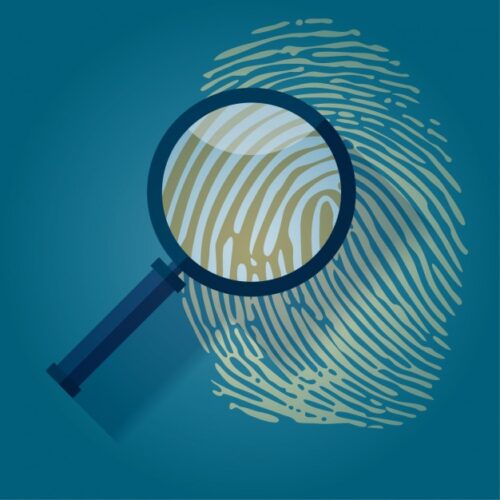 detetive particular é seguro